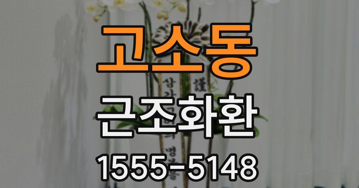 고소동 근조화환
