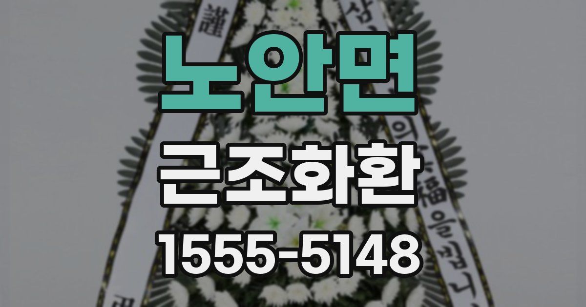 노안면 근조화환