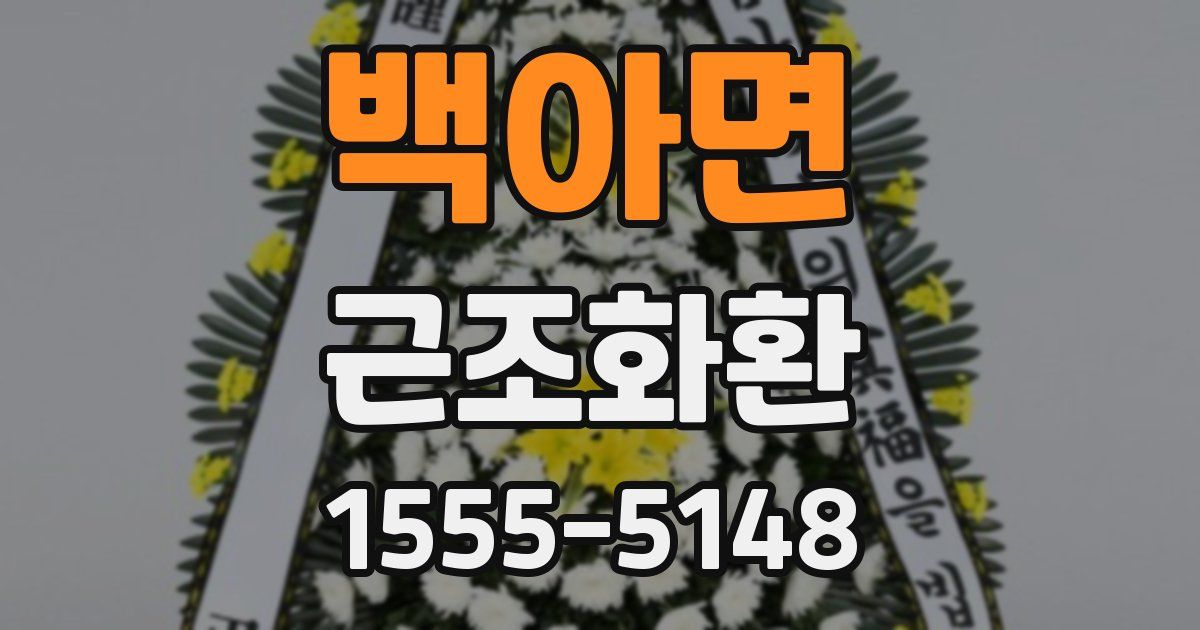 백아면 근조화환