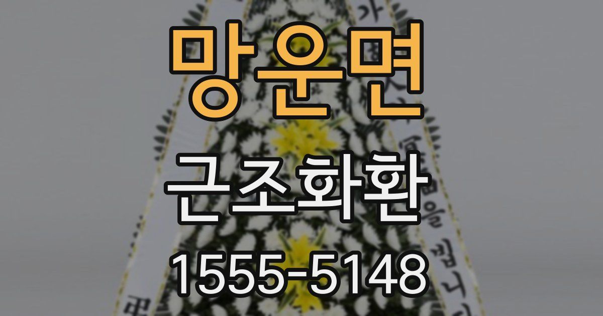 망운면 근조화환