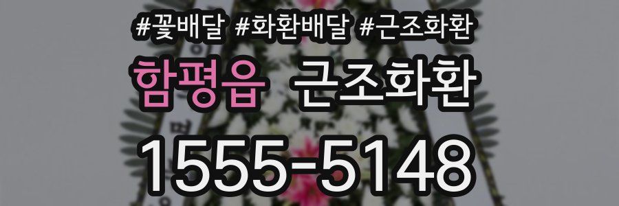 함평읍 근조화환