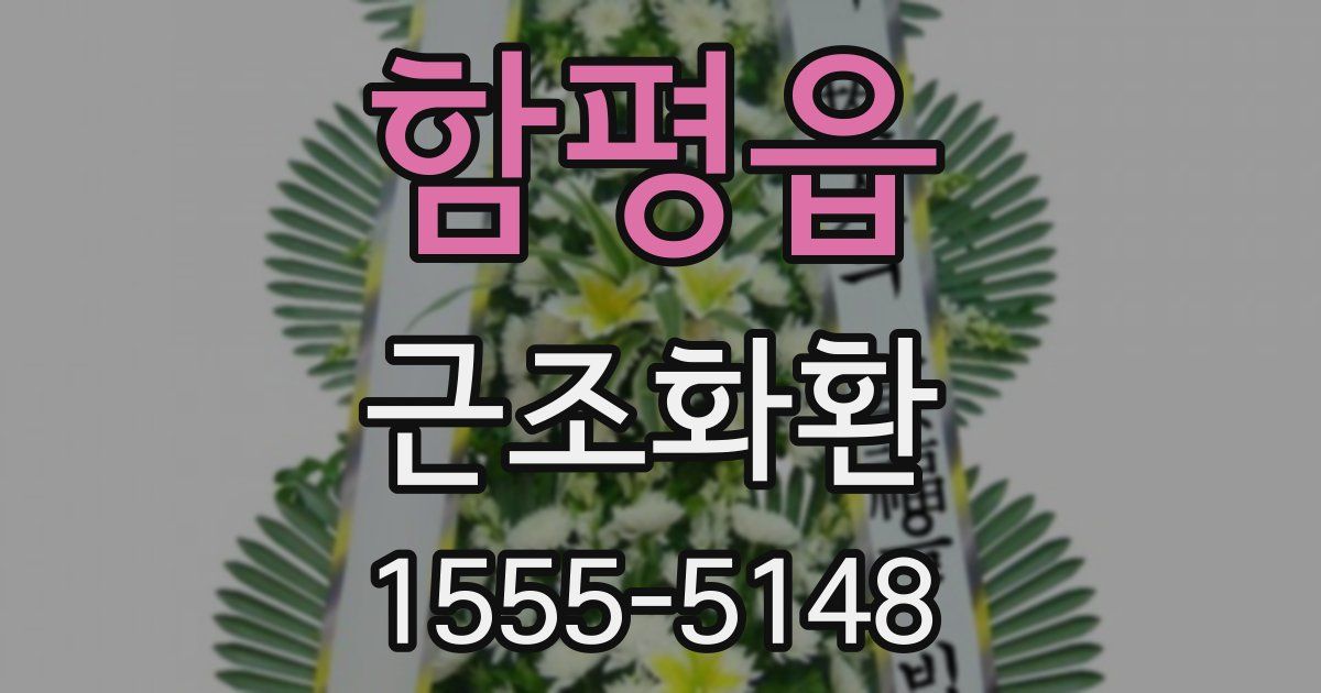 함평읍 근조화환