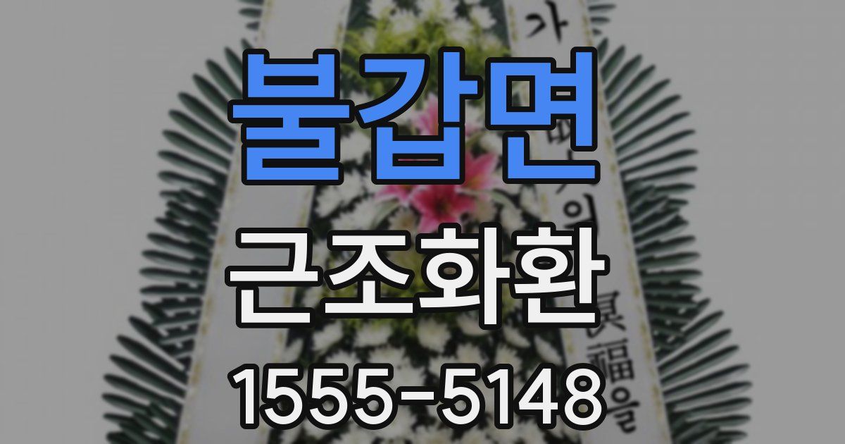 불갑면 근조화환