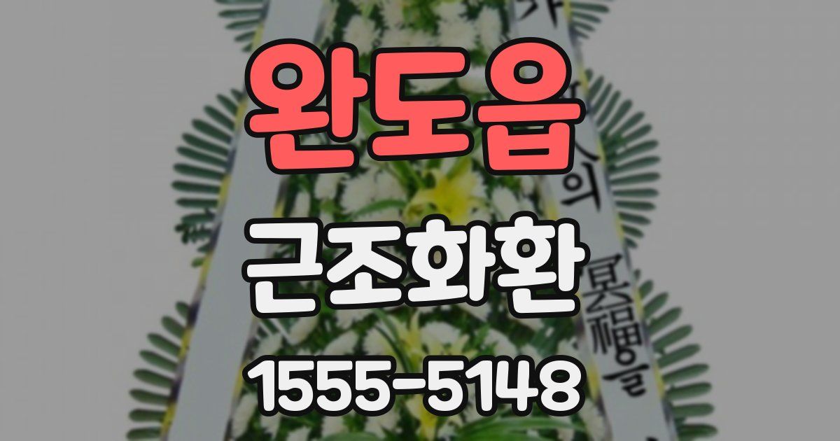 완도읍 근조화환