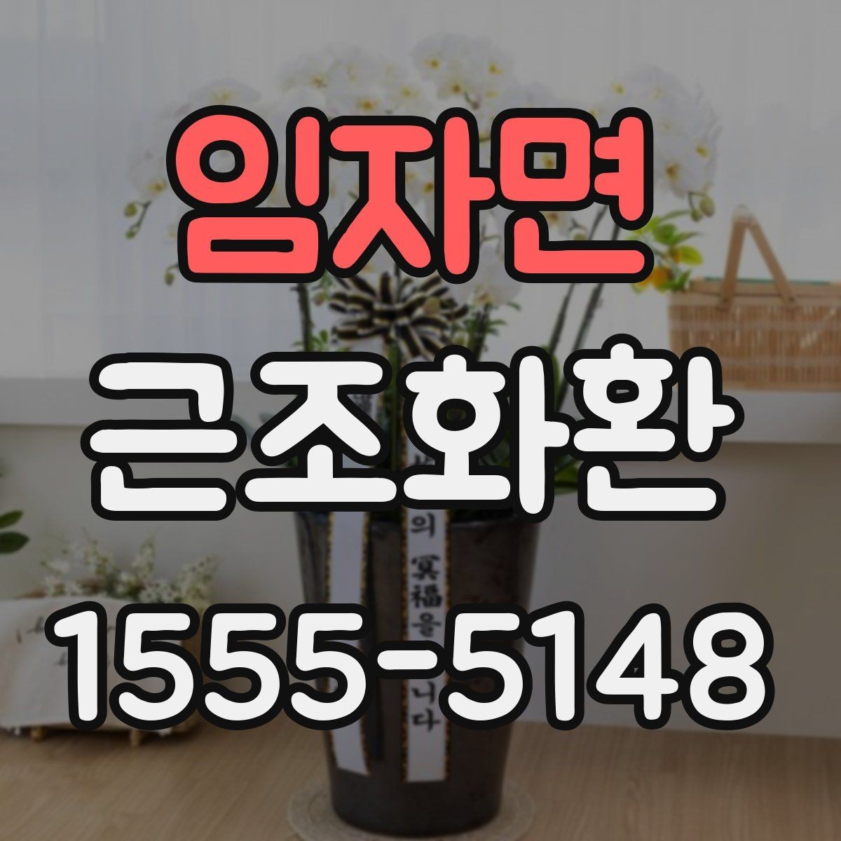 임자면 근조화환 신청 전 자주 헷갈리는 내용 정리