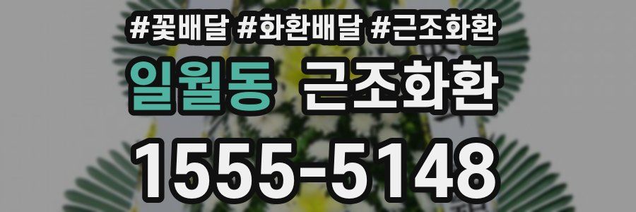 일월동 근조화환