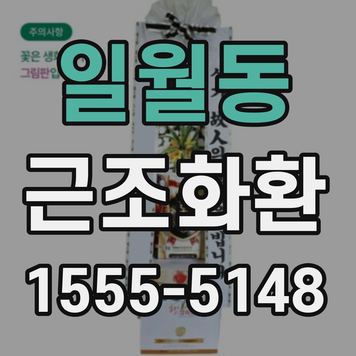 일월동 근조화환