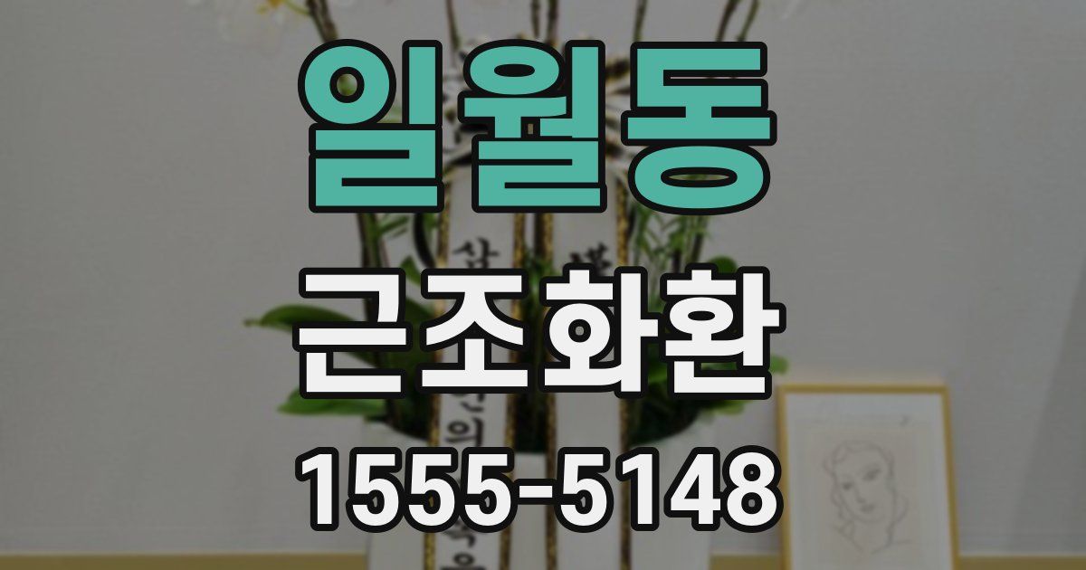 일월동 근조화환