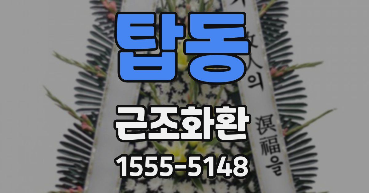 탑동 근조화환