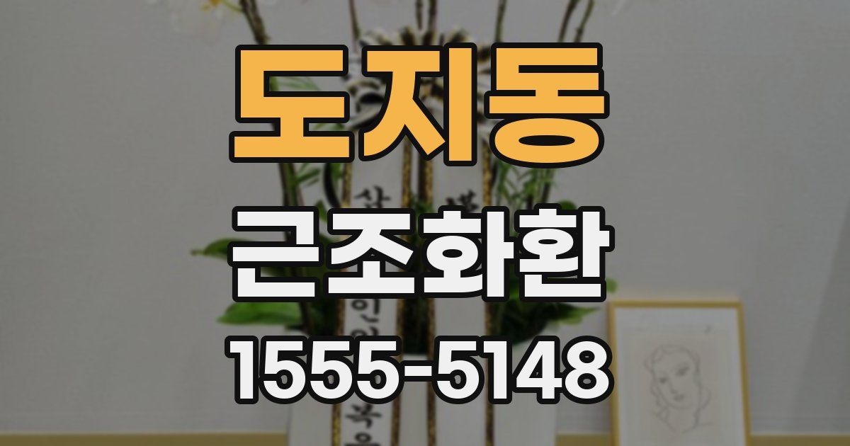 도지동 근조화환
