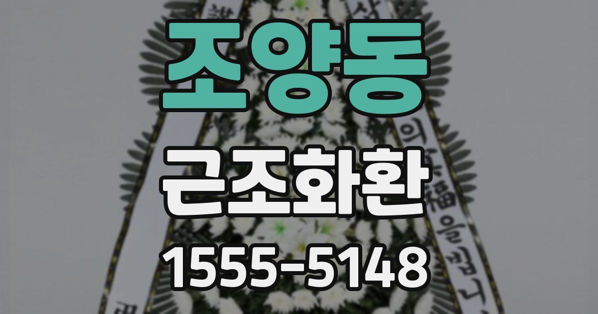 조양동 근조화환