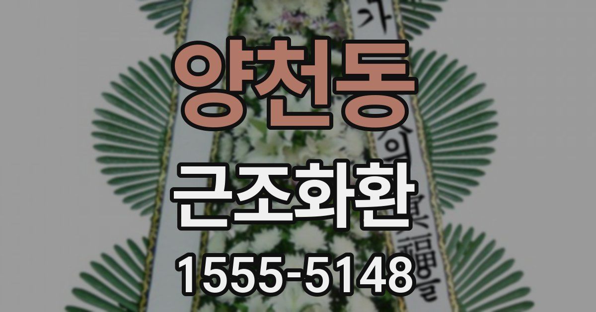 양천동 근조화환