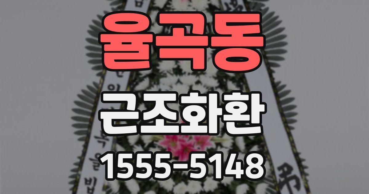 율곡동 근조화환