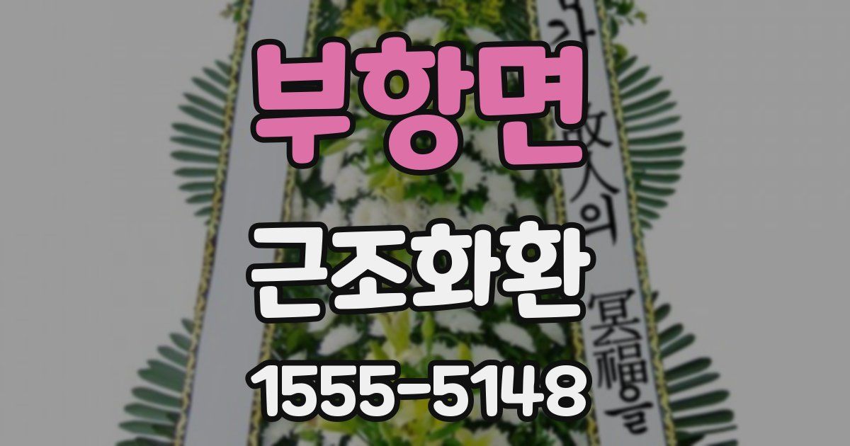 부항면 근조화환
