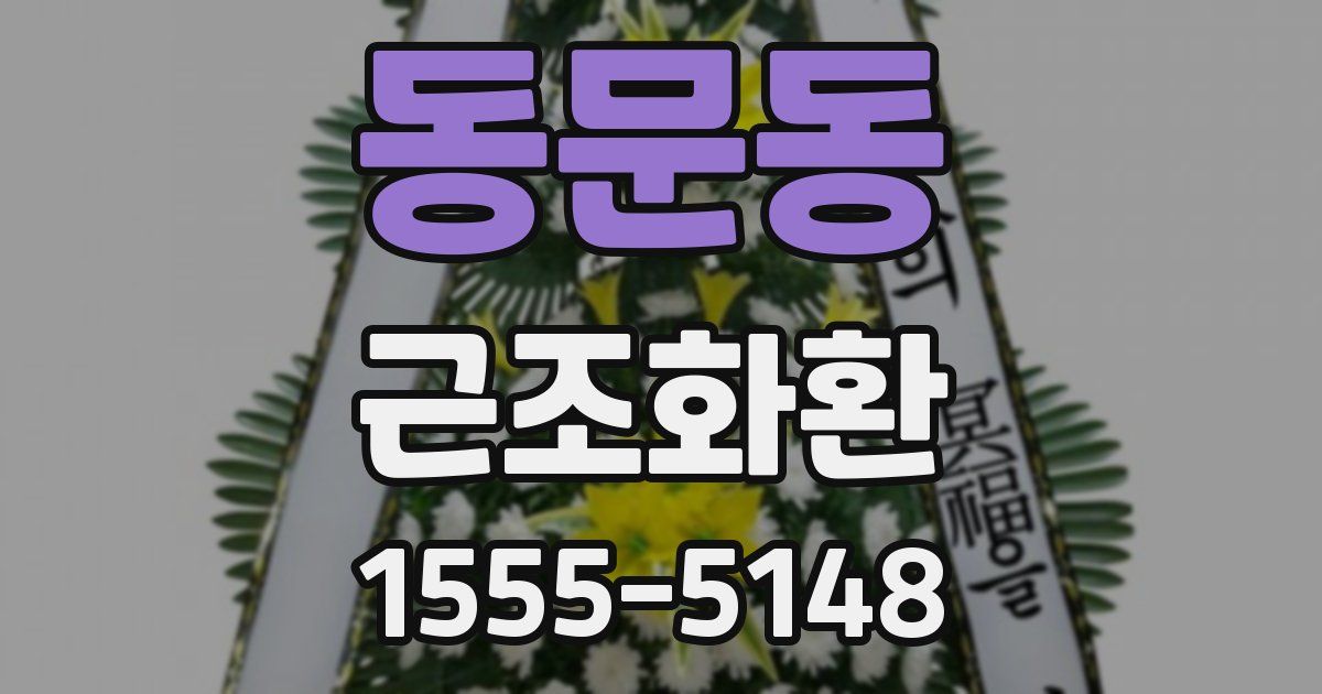 동문동 근조화환