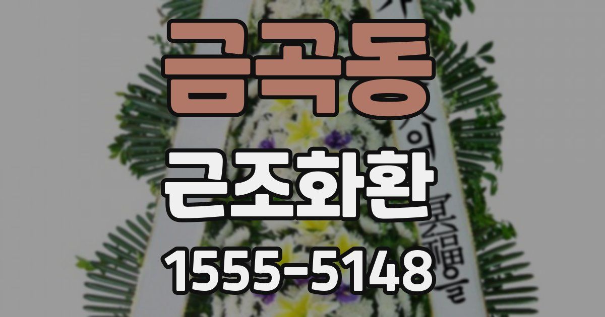 금곡동 근조화환