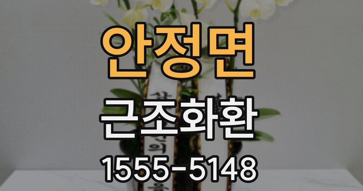안정면 근조화환