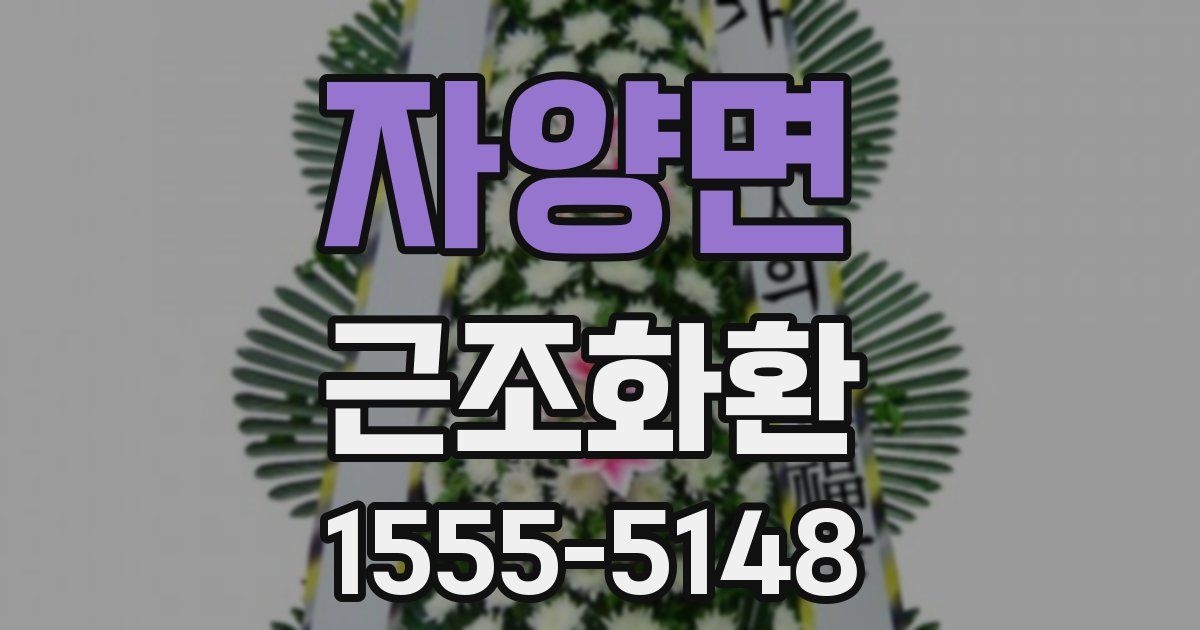자양면 근조화환