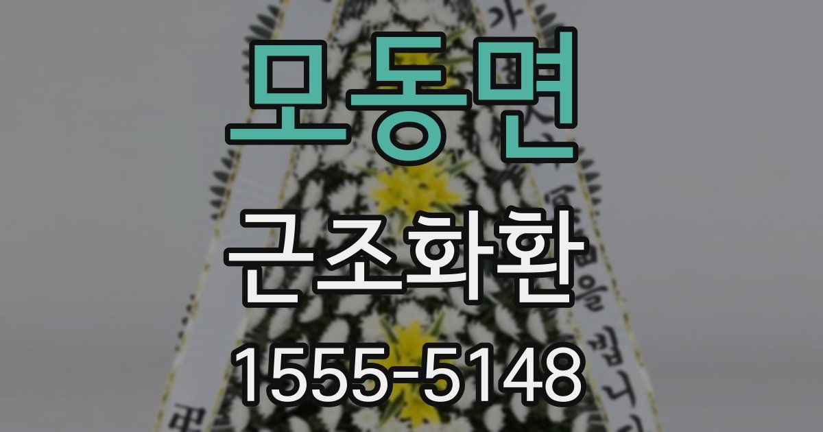 모동면 근조화환