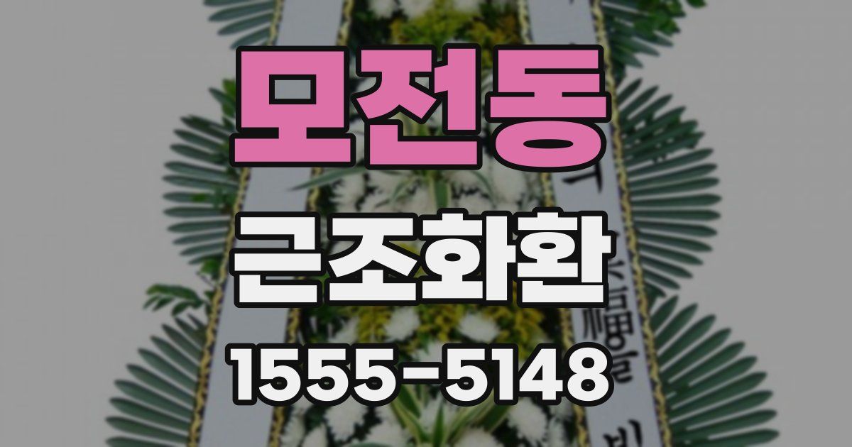 모전동 근조화환