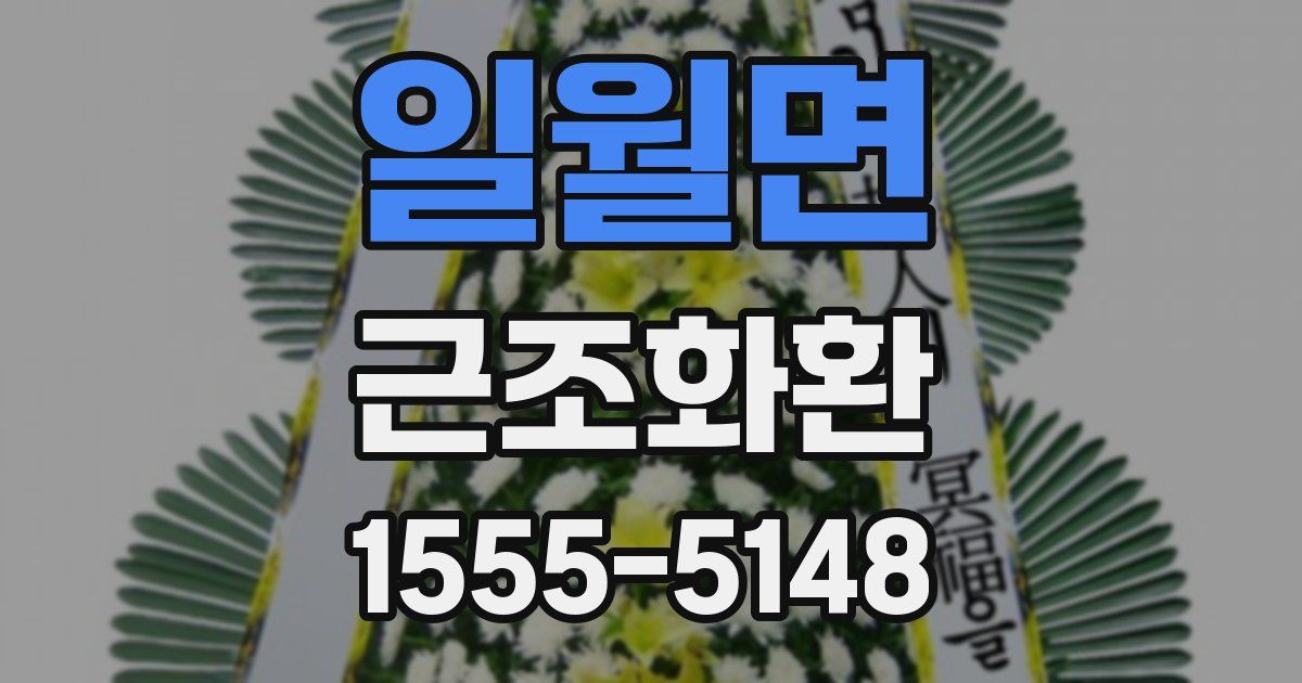일월면 근조화환