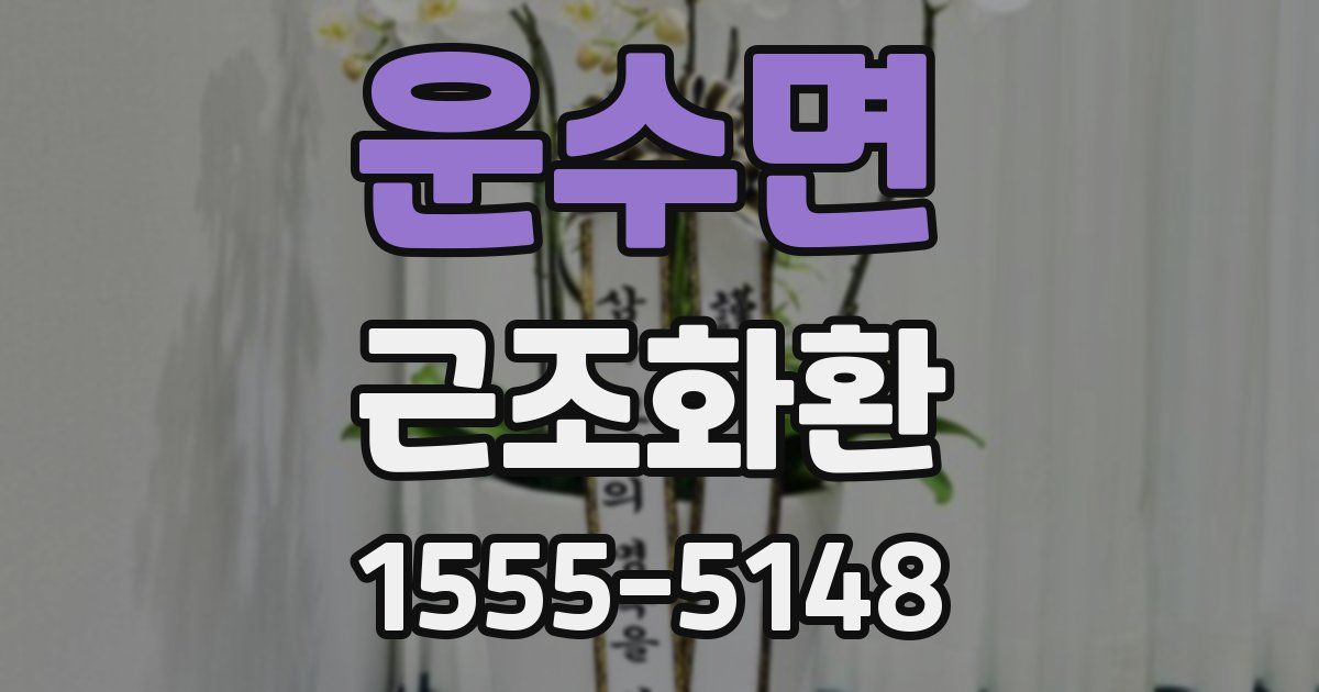 운수면 근조화환