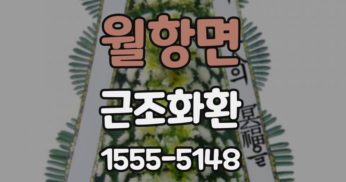 월항면 근조화환