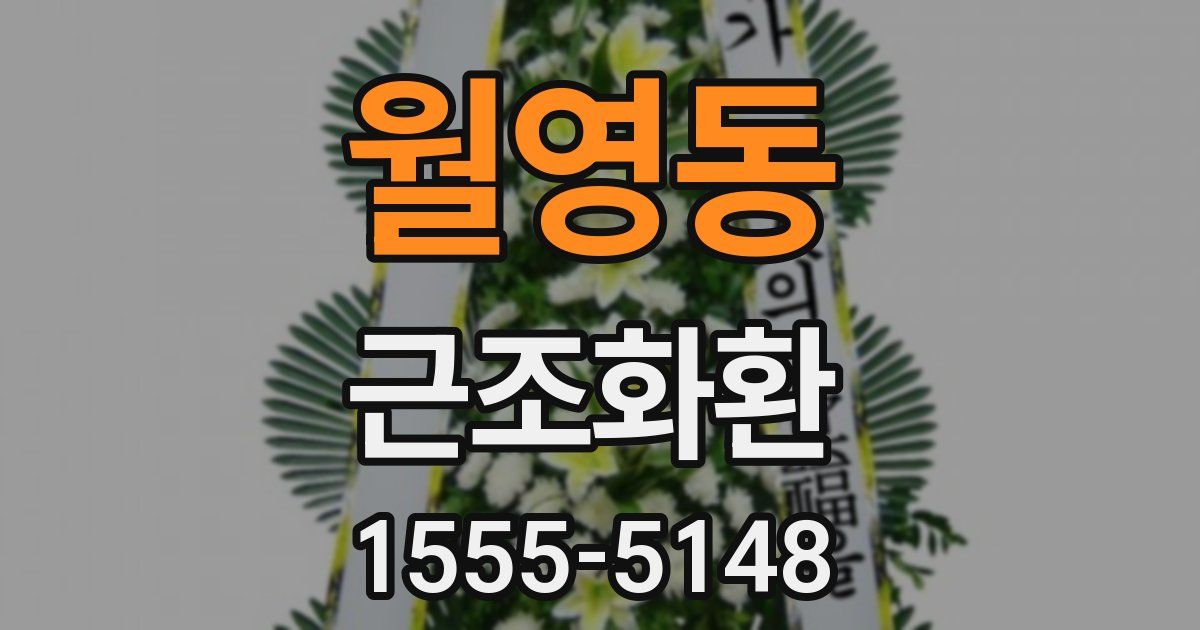 월영동 근조화환