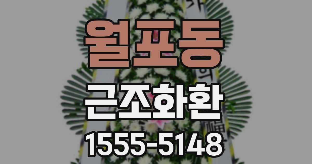 월포동 근조화환