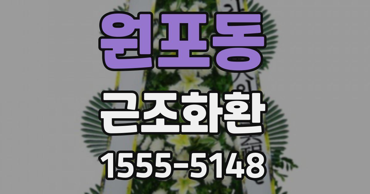 원포동 근조화환