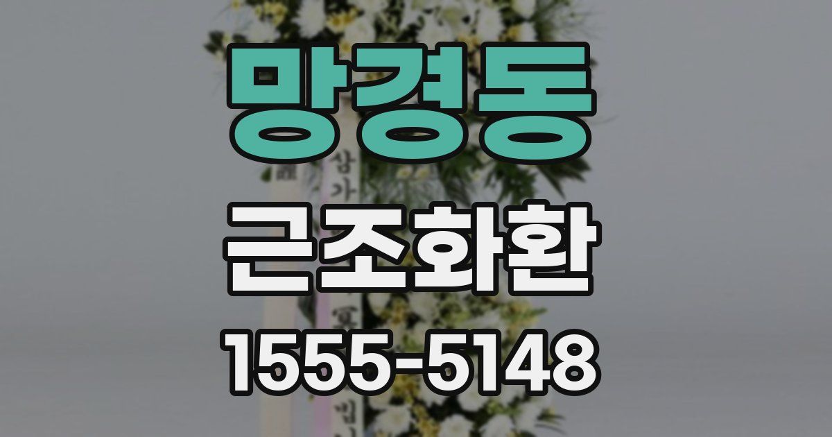 망경동 근조화환