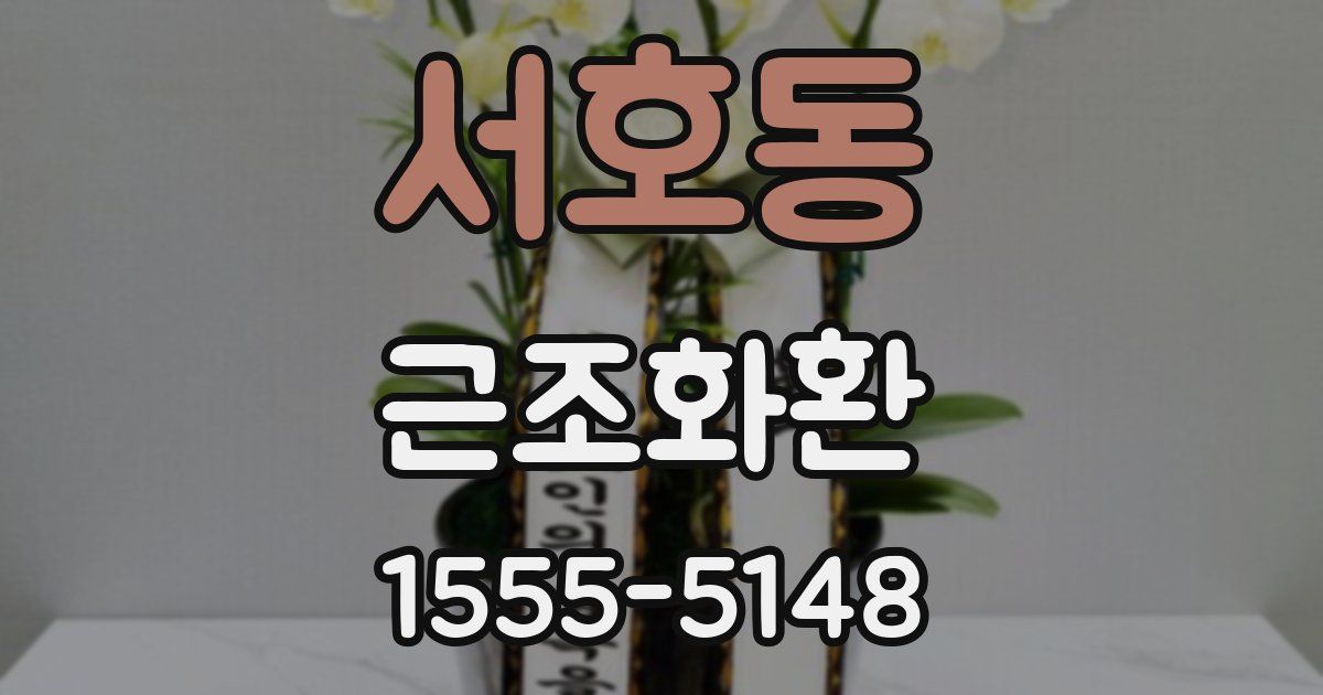 서호동 근조화환