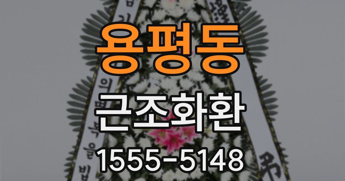 용평동 근조화환