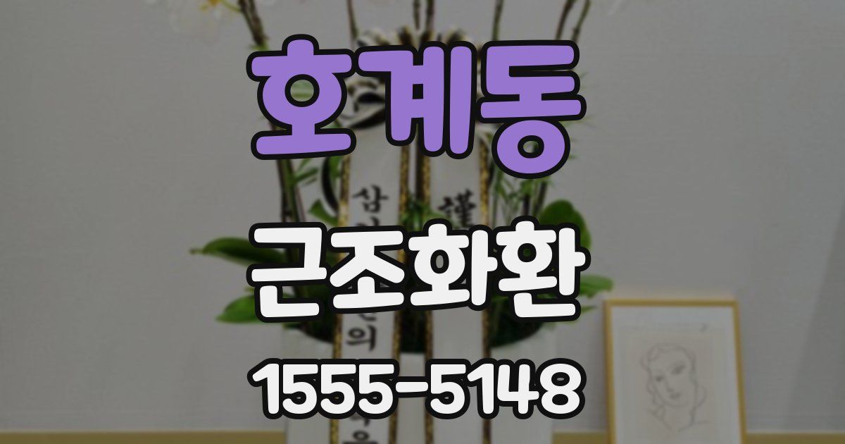 호계동 근조화환