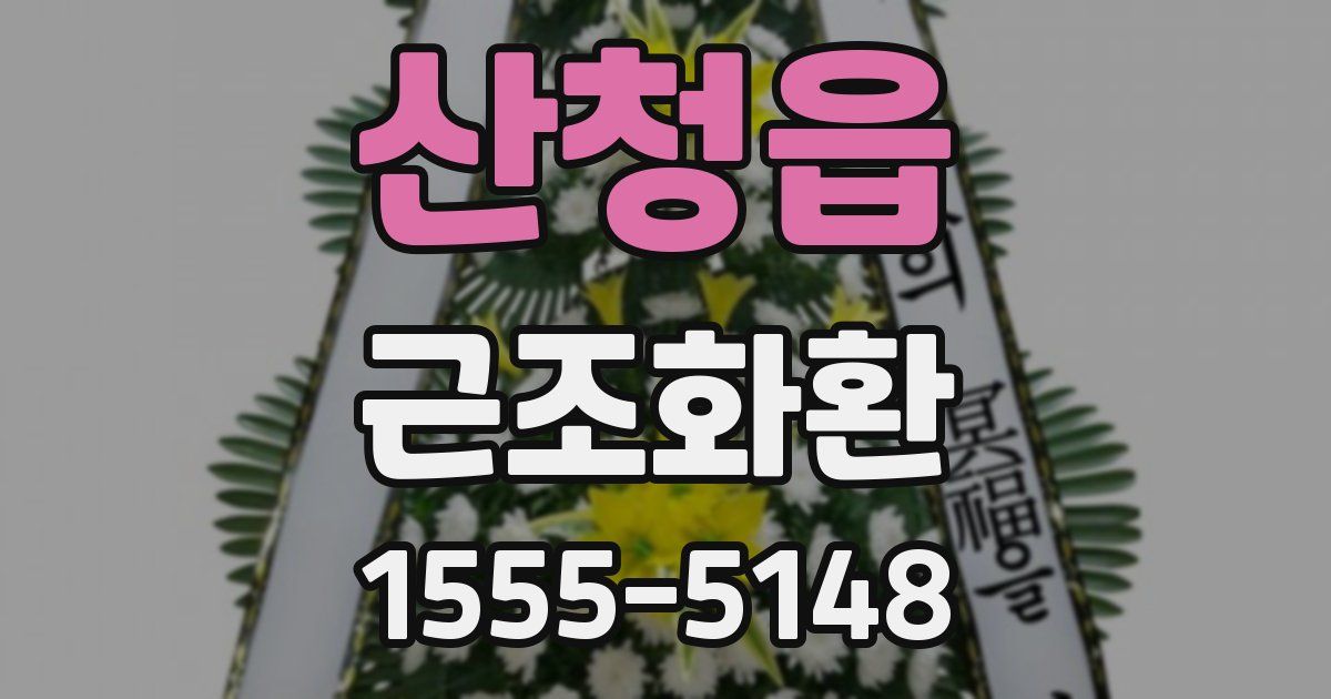 산청읍 근조화환