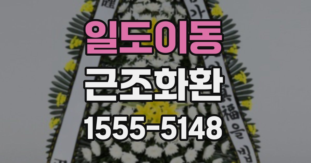 일도이동 근조화환