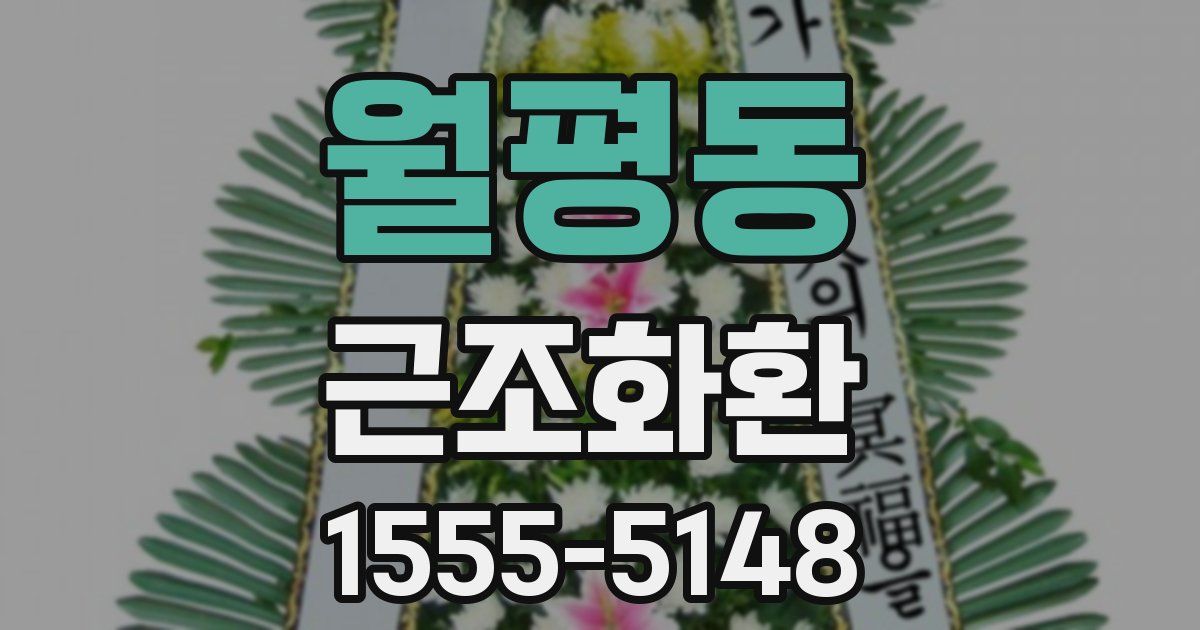 월평동 근조화환