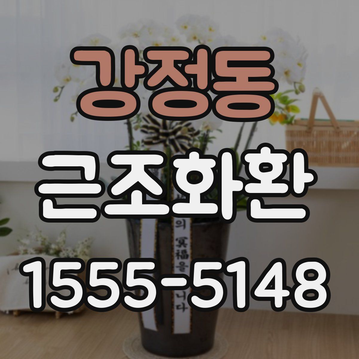 강정동 근조화환
