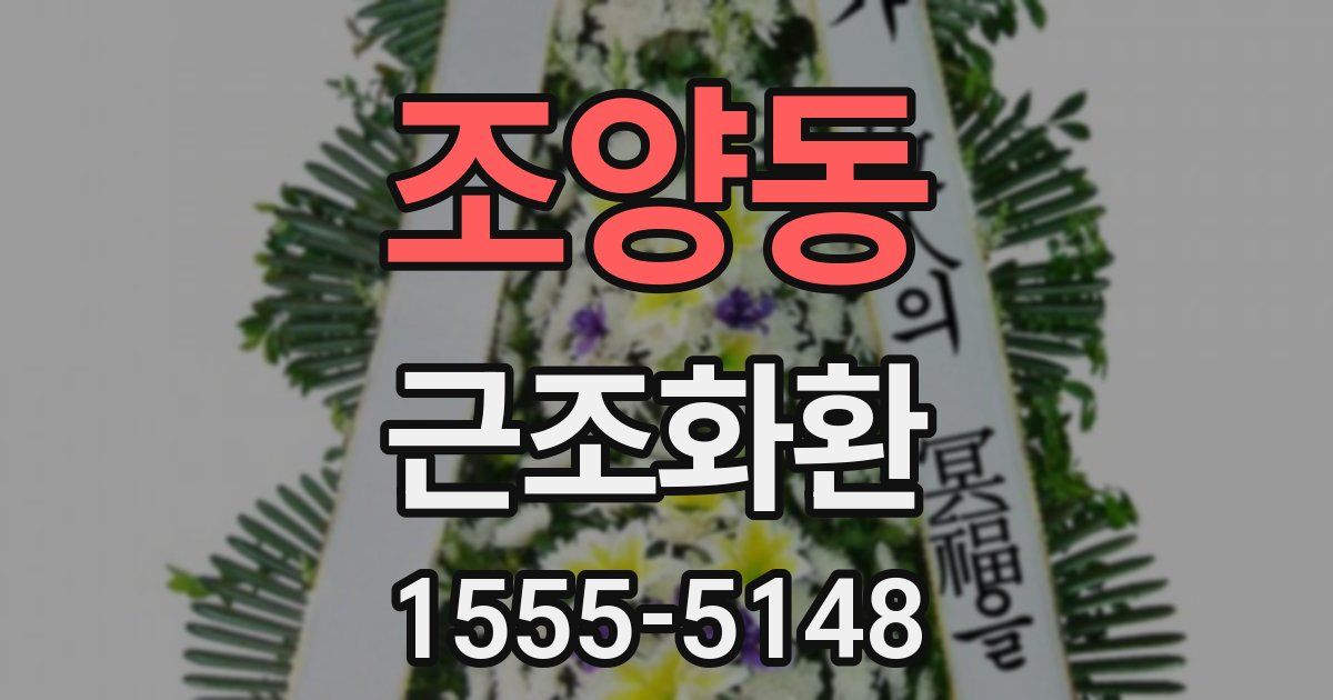 조양동 근조화환