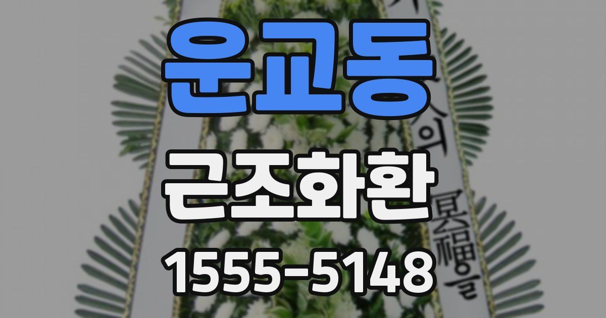 운교동 근조화환