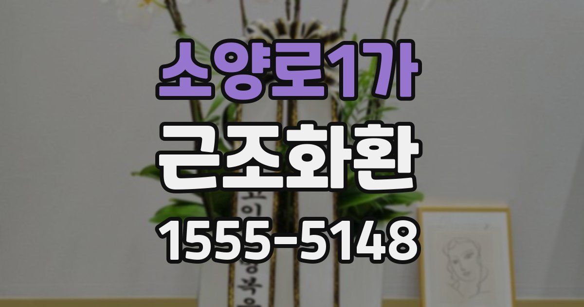 소양로1가 근조화환