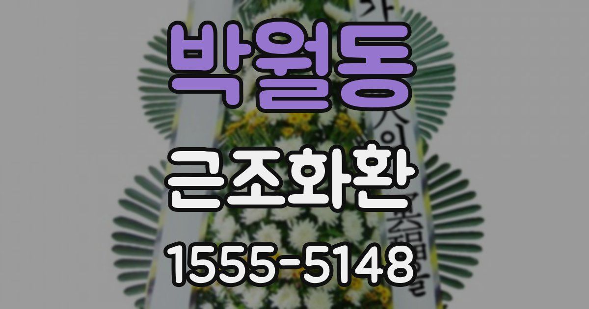 박월동 근조화환