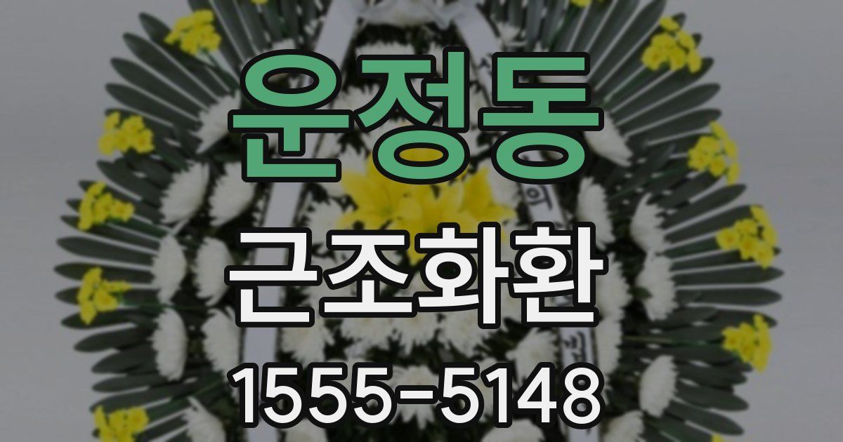 운정동 근조화환