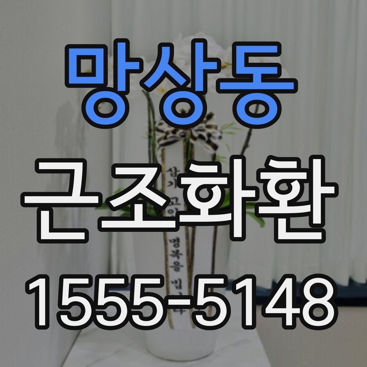 망상동 근조화환 지역 화환 배송에서 자주 묻는 사항