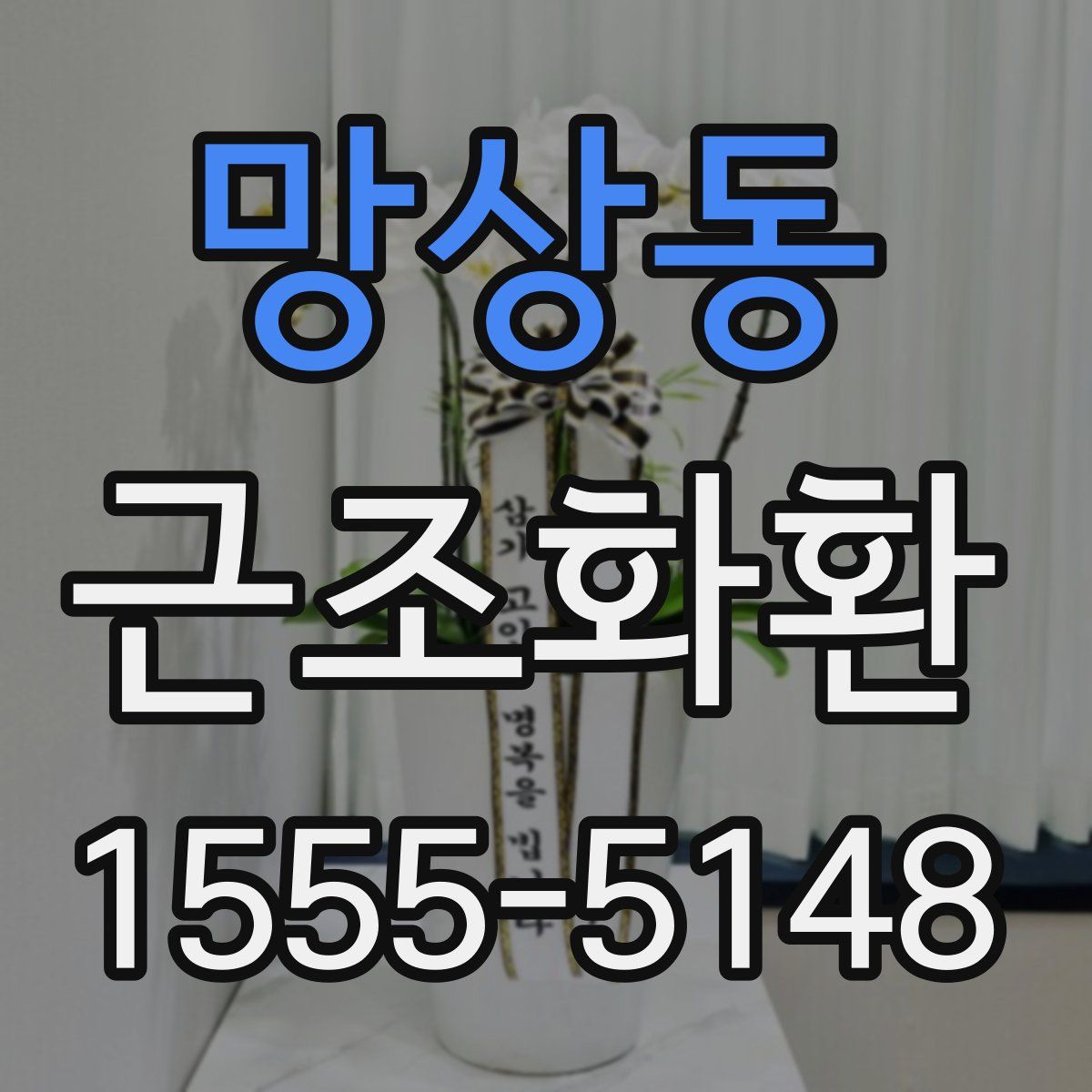 망상동 근조화환