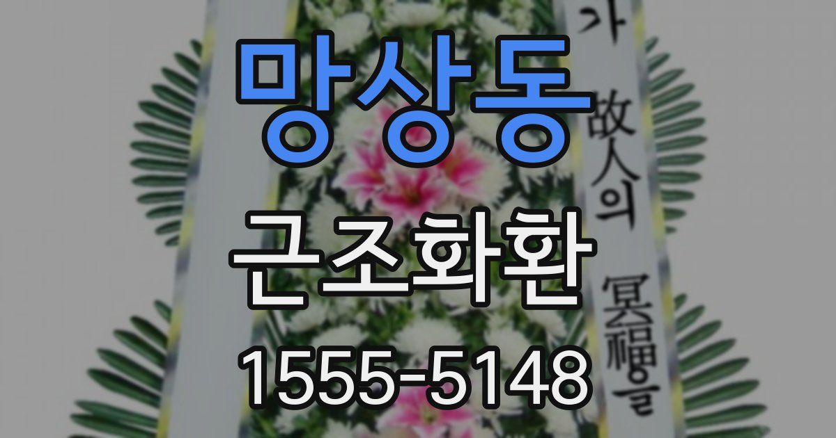 망상동 근조화환
