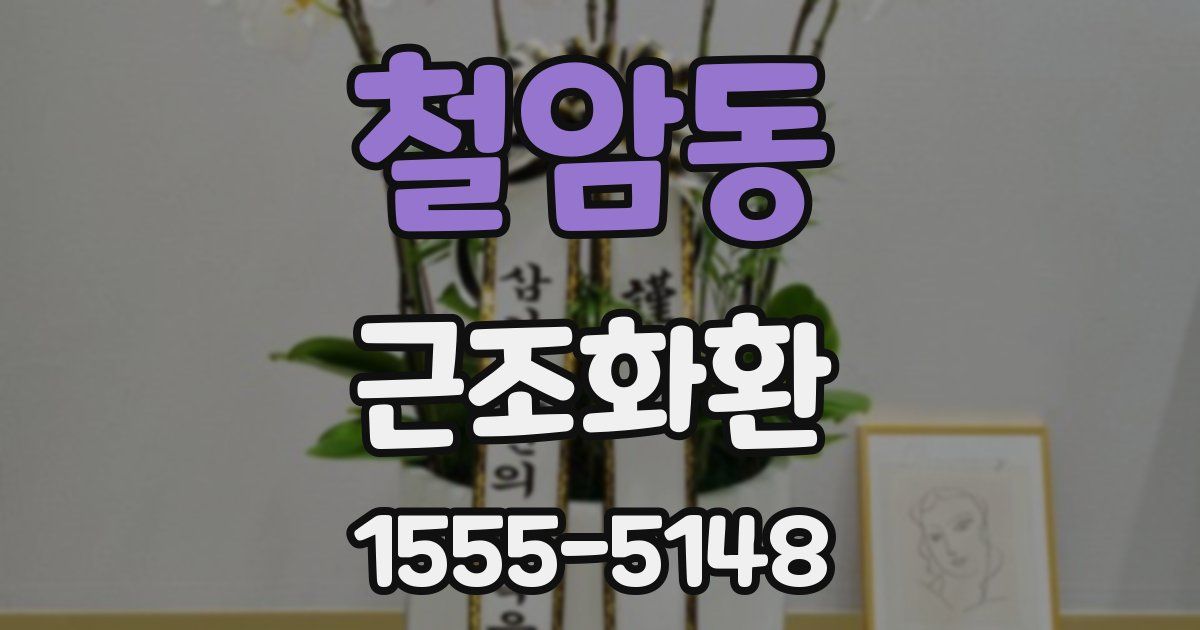 철암동 근조화환