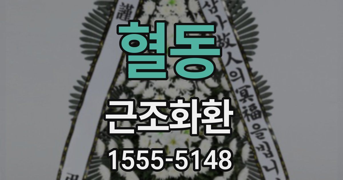 혈동 근조화환