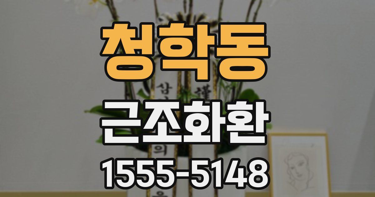 청학동 근조화환