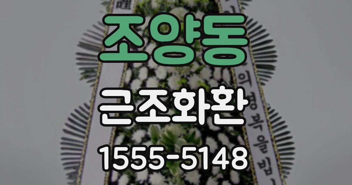 조양동 근조화환